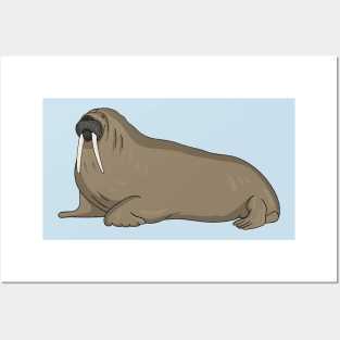 Walrus cartoon illustration Posters and Art